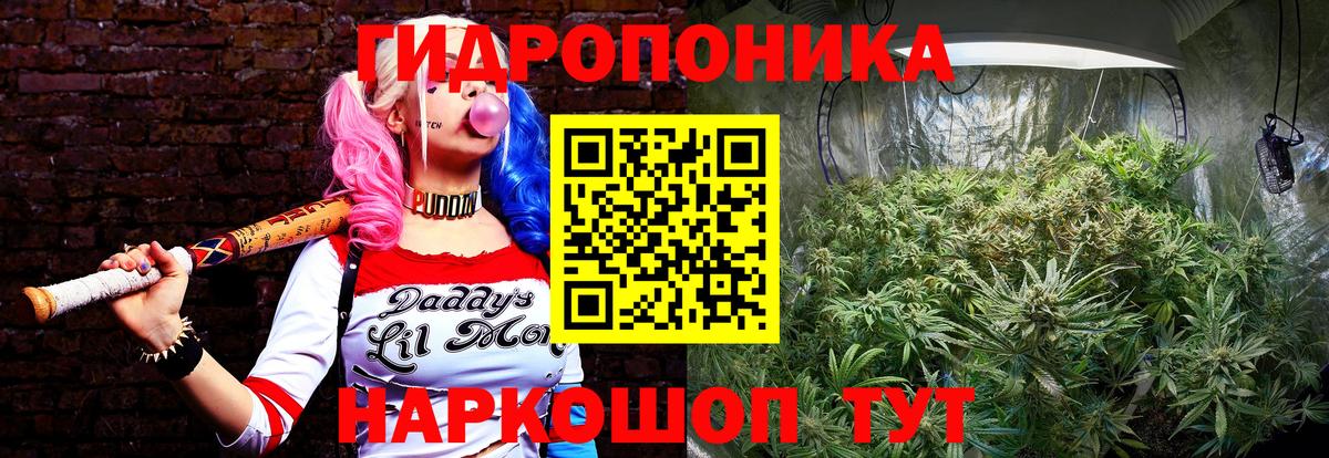 Марихуана сатива Шадринск